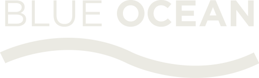 Blue Ocean Fashion Ecosystems